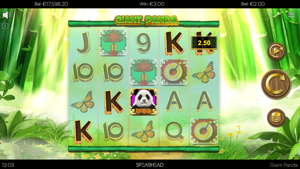 Giant Panda Screenshot 3