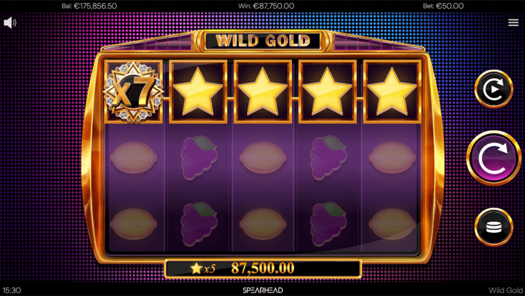 Wild Gold Screenshot 3