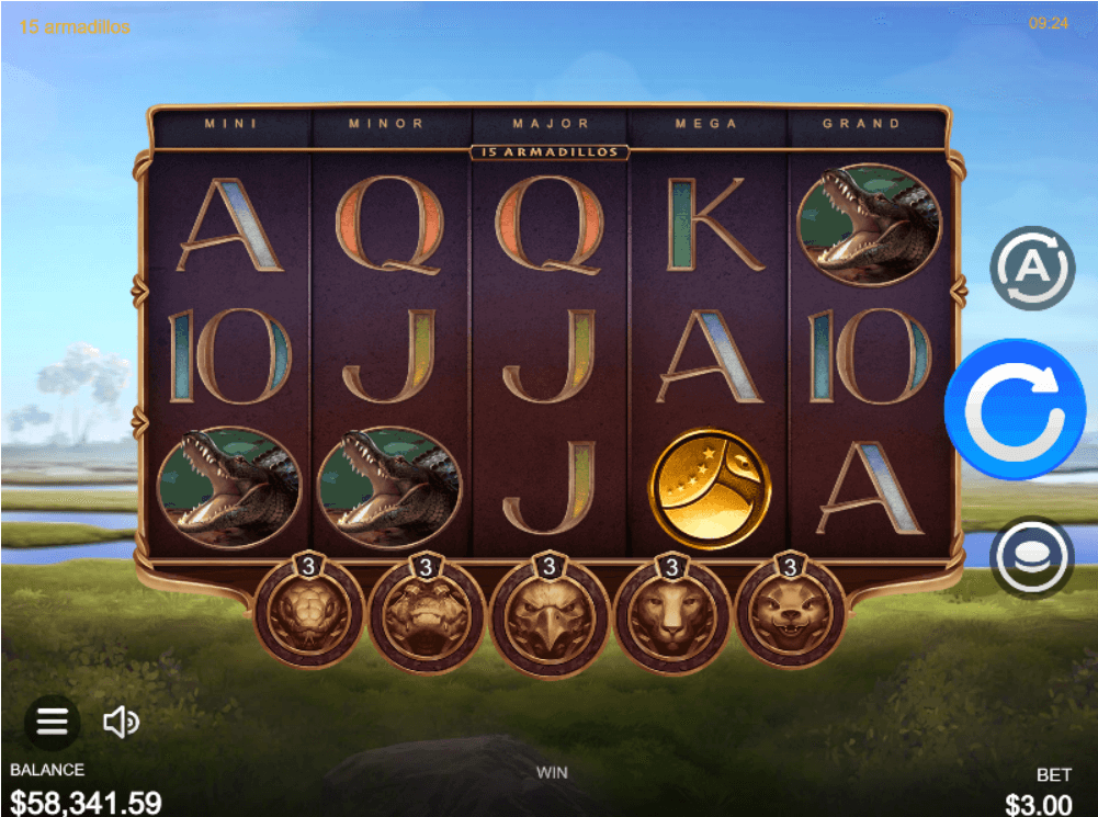15 Armadillos Screenshot 16