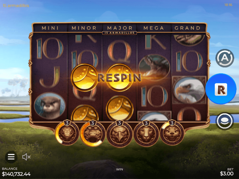 15 Armadillos Screenshot 9