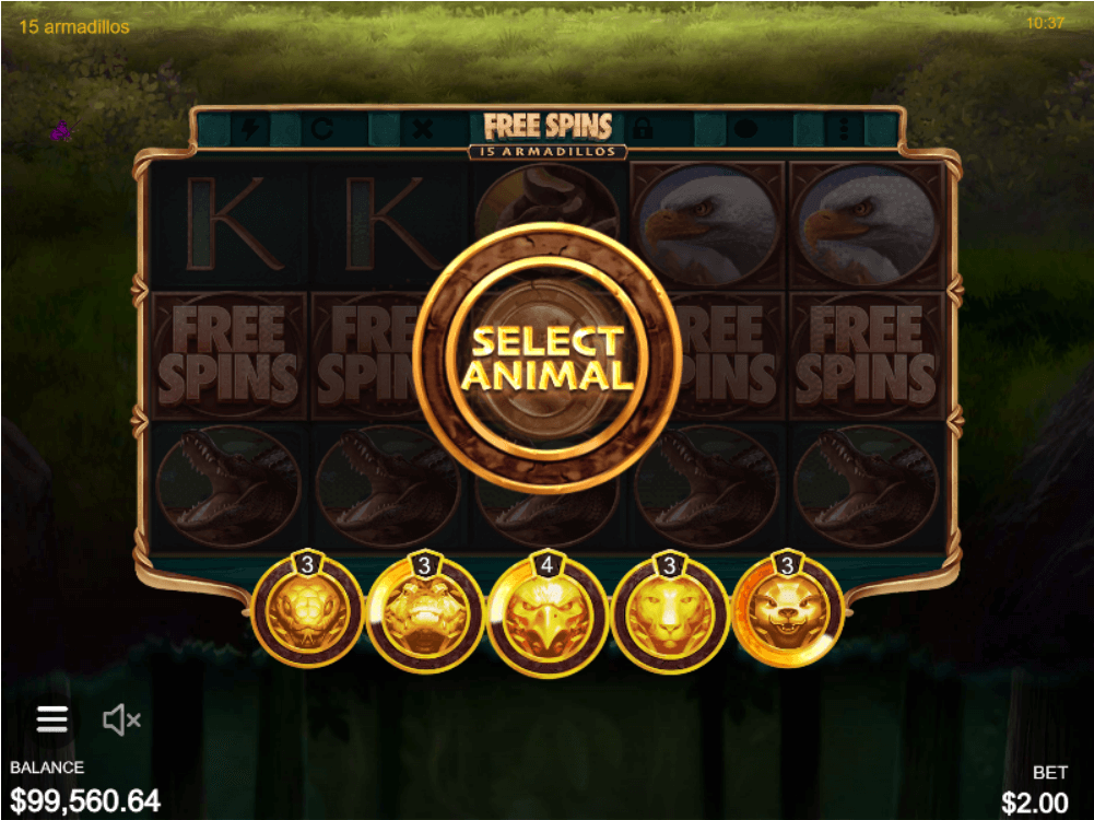 15 Armadillos Screenshot 11